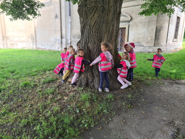 Náhledová fotka - Děti na výletě objímající strom
